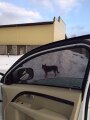 Фото отзыва