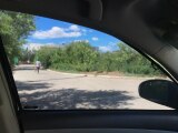 Фото отзыва