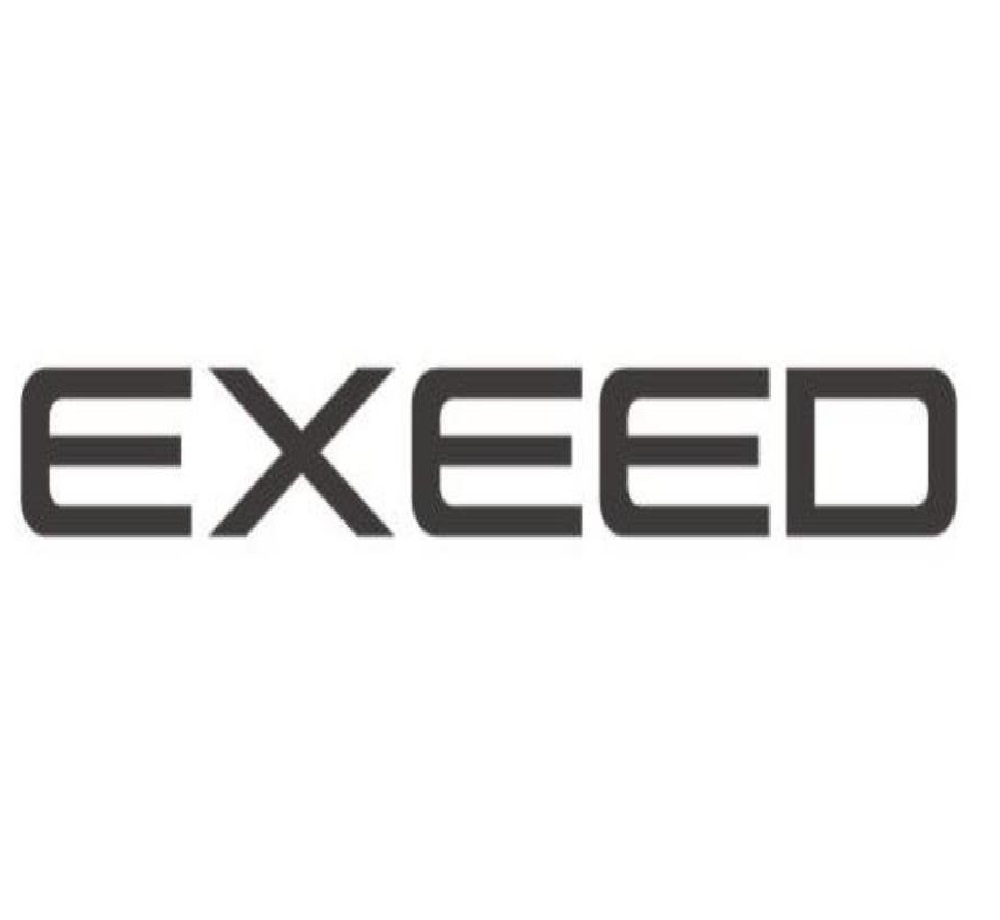 Автошторки для EXEED