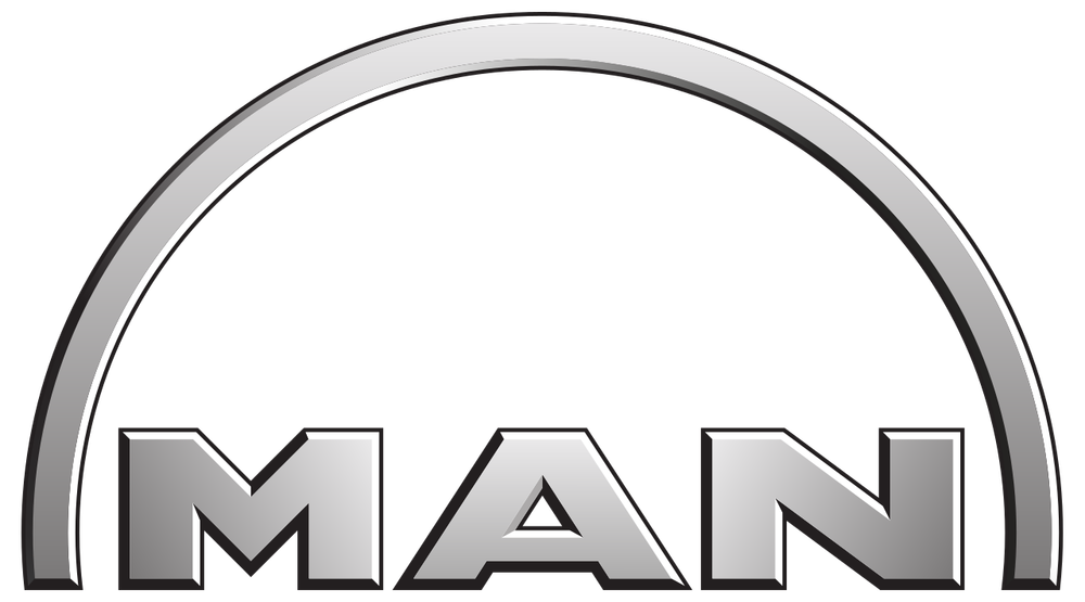 Автошторки для Man