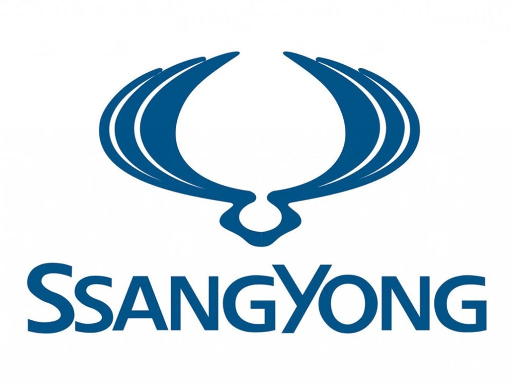 Автошторки для Ssang Yong