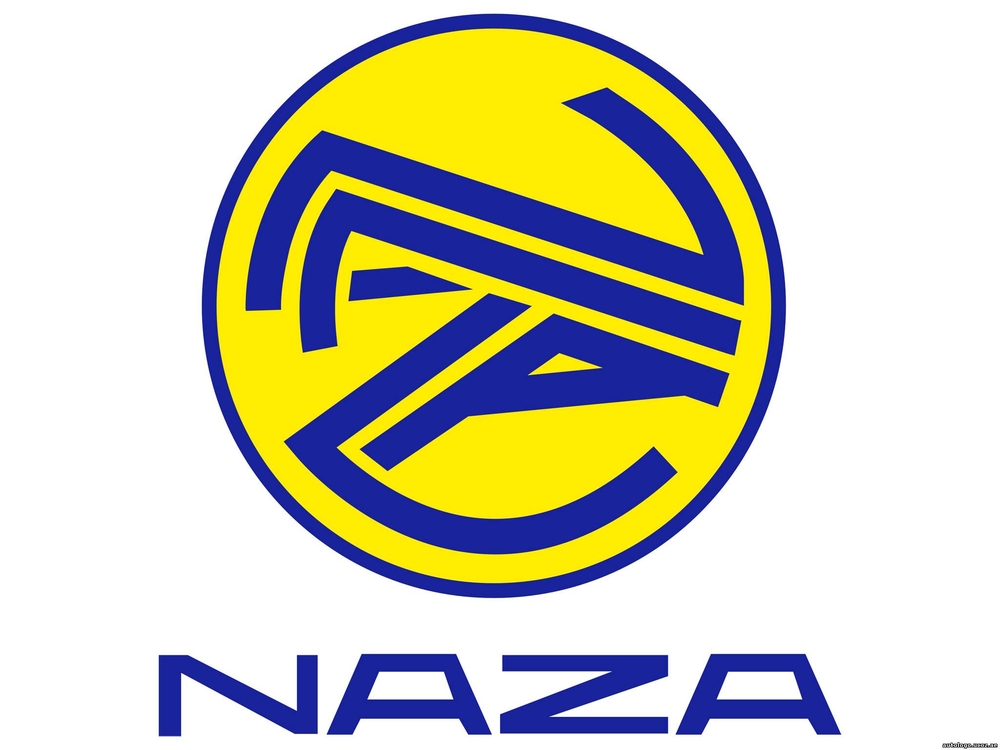 Автошторки для Naza