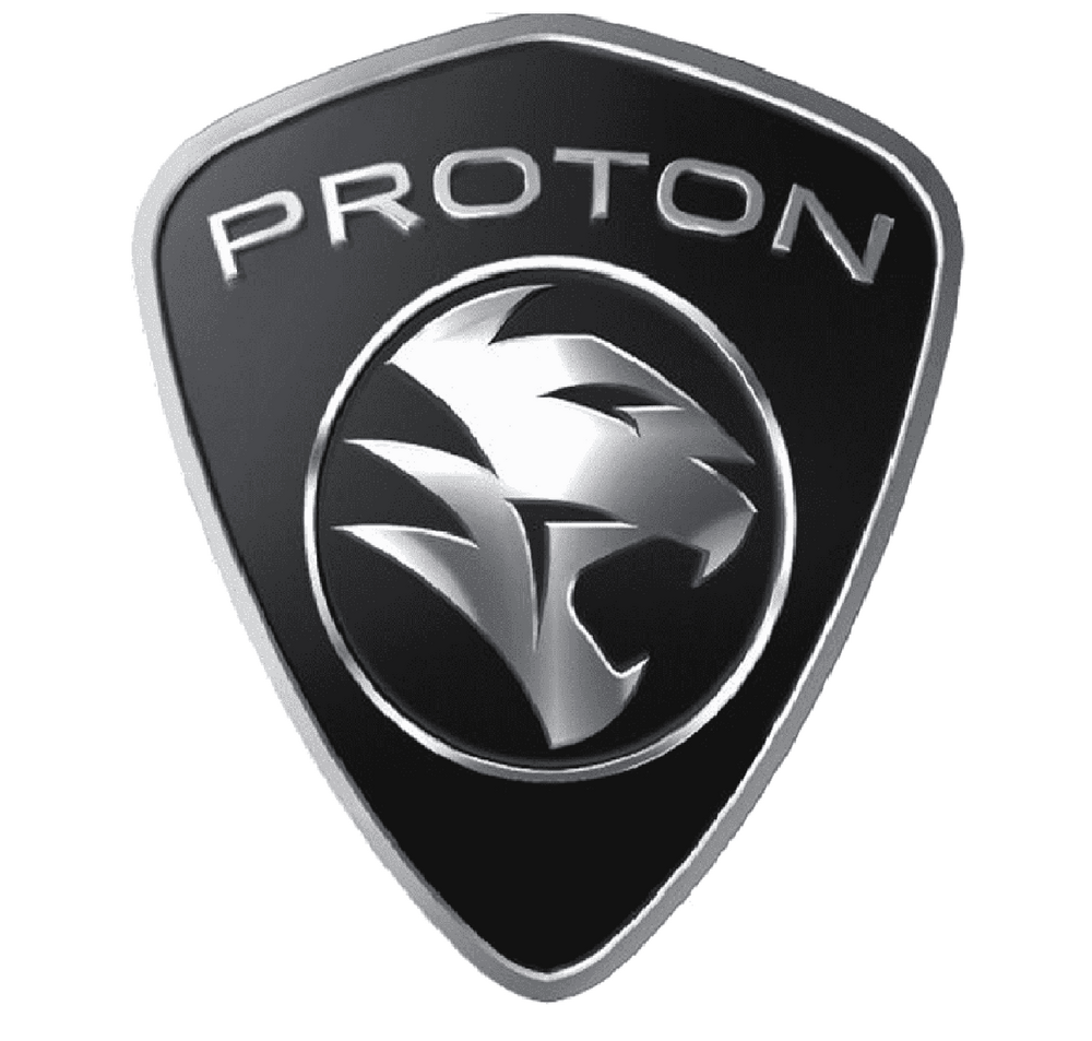 Автошторки для Proton