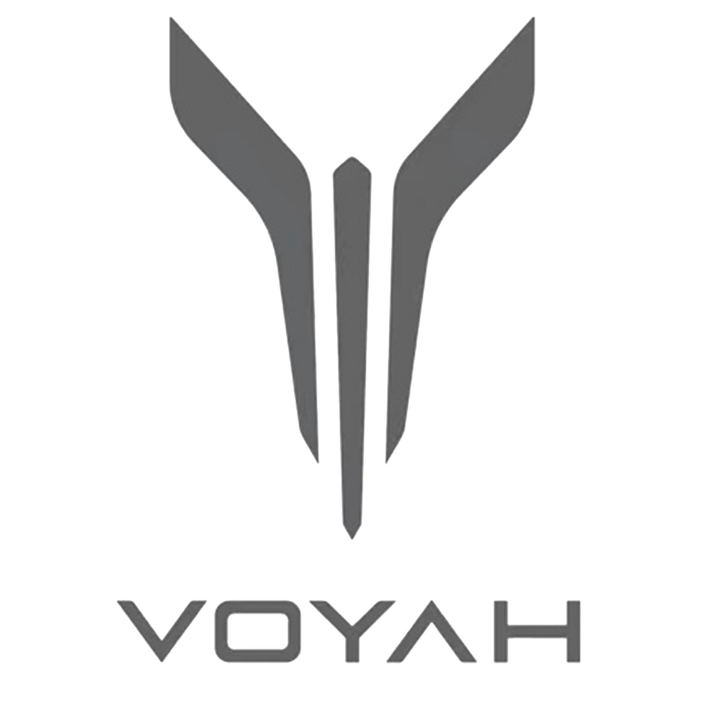 Автошторки для Voyah