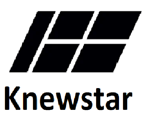 Автошторки для Knewstar