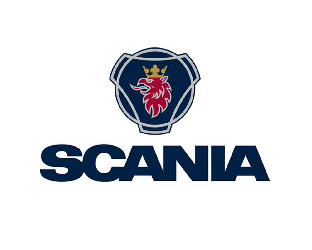 Автошторки для Scania