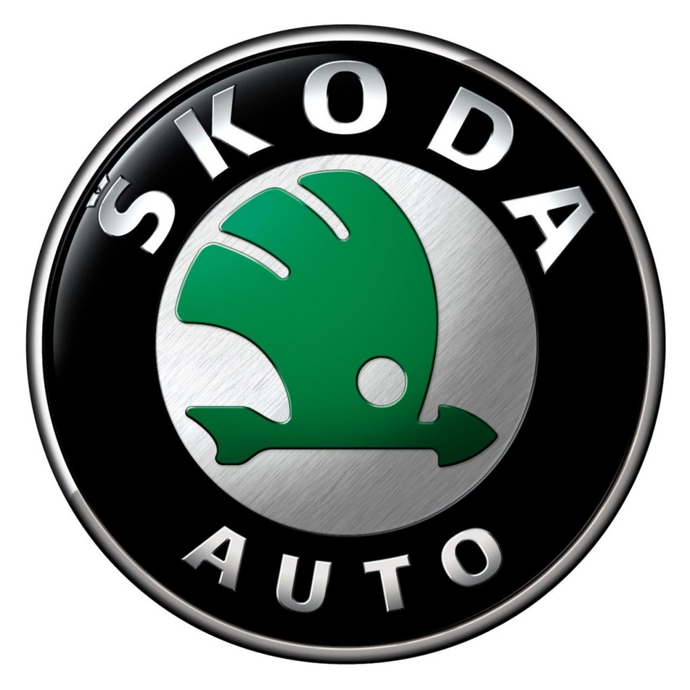 Автошторки для Skoda