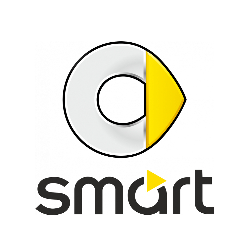 Автошторки для Smart