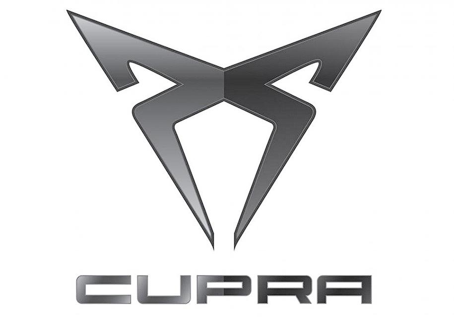 Автошторки для Cupra