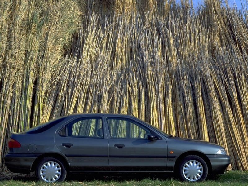 Автошторки для Ford Mondeo Хетчбэк 5D  (1993 - 1996)