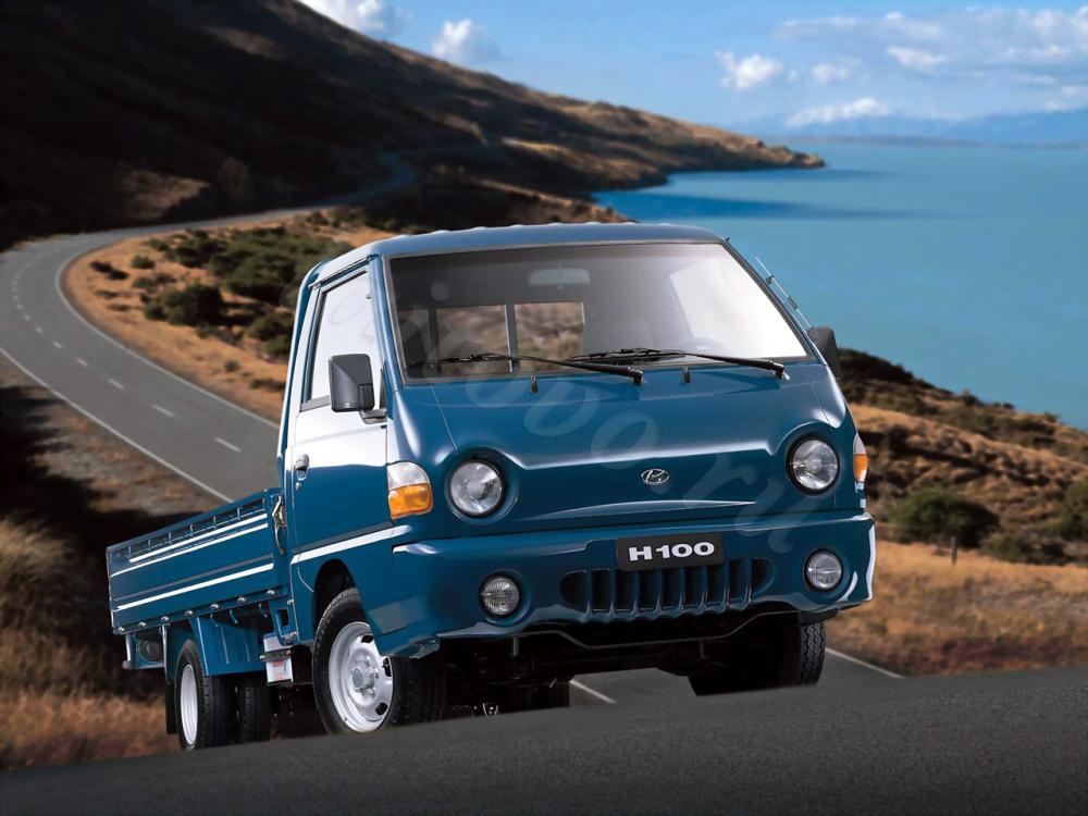 Автошторки для Hyundai H100 Пикап 2D  (1996 - 2004)